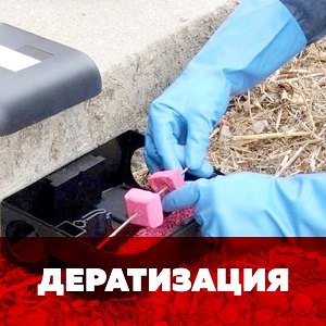 Единая Служба Дезинсекции устранение клопов, тараканов, насекомых