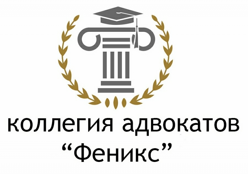 Профессиональная правовая защита