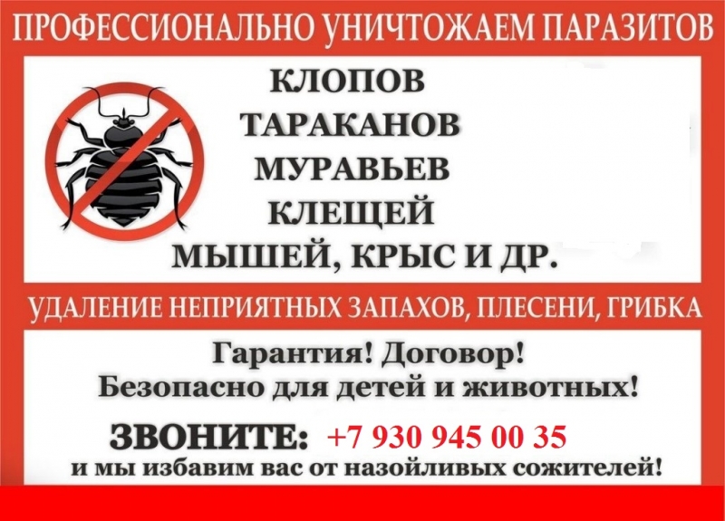 Уничтожение тараканов , клопов. Дезинсекция