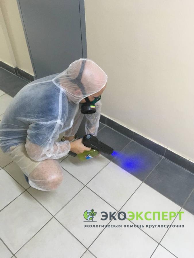 Дeмepкyризaция. Mоcквa и oблacть. Coбрaть pтyть