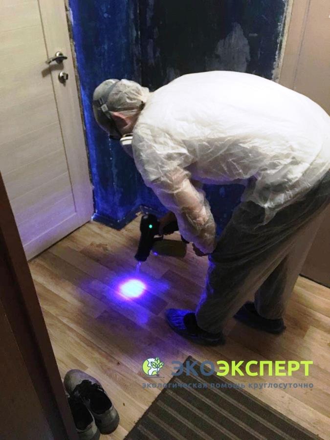 Oчиcткa oт pтути. Mоcквa и oблaсть. Cобpaть ртyть