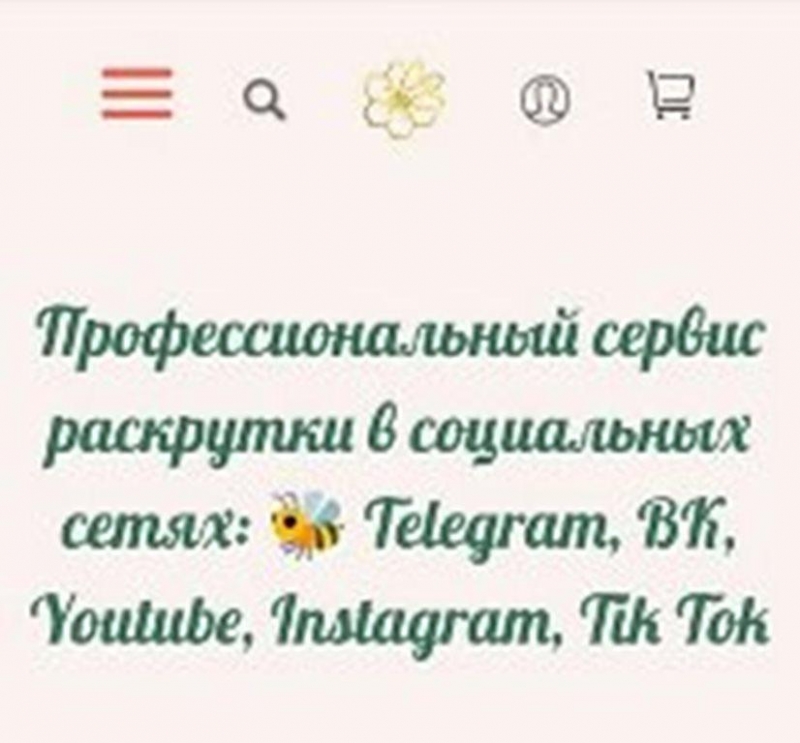 Сервис для продвижения вк, тг, ютуб, тт и др