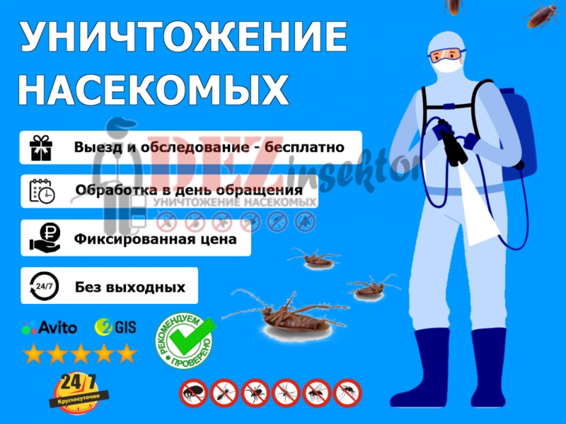 Уничтожение тараканов, клопов и других насекомых. Дезинсекция