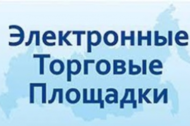 Участие в различных электронных торгах