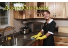 Домашний персонал (няни, домработницы, водители и т.д.).
