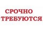 Специалист по кадрам