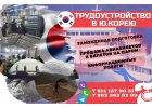 Набор мужчин и женщина на работу в Ю.Корею
