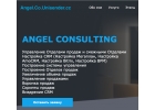 Построение Отделов продаж, Настройка и Внедрение CRM
