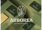 Разработка логотипа