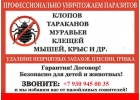 Уничтожение тараканов , клопов. Дезинсекция