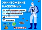 Уничтожение тараканов, клопов и других насекомых. Дезинсекция