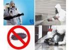 КлинСлужба